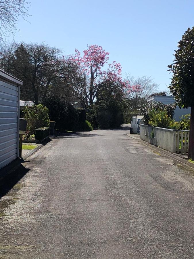 Inglewood Shared Home Bnb 新普利茅斯 外观 照片